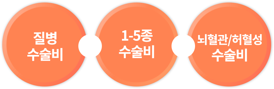 슬개골탈구, 혈관질환, 숫구멍개구 등 질병보험 